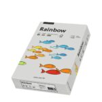21010079_01 Kopieringspapper Rainbow grey A3 80g